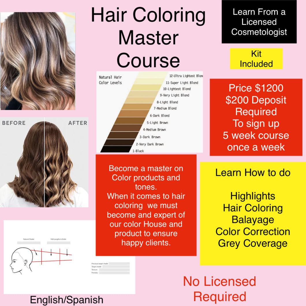 Hair Coloring Master Course